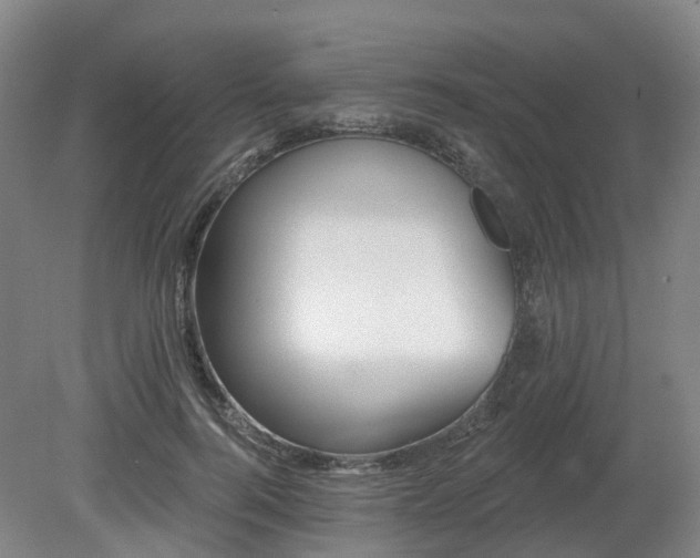 X0000081280744200701181742