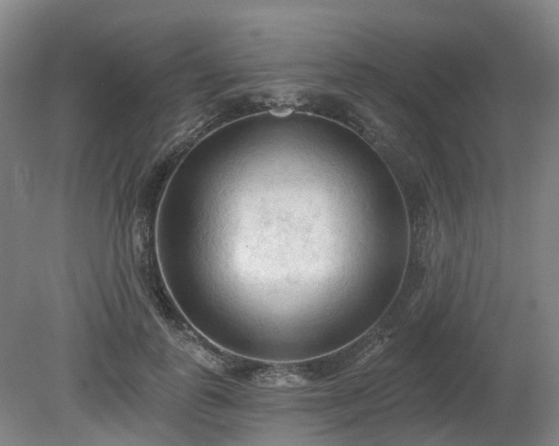 X0000081280747200701181742