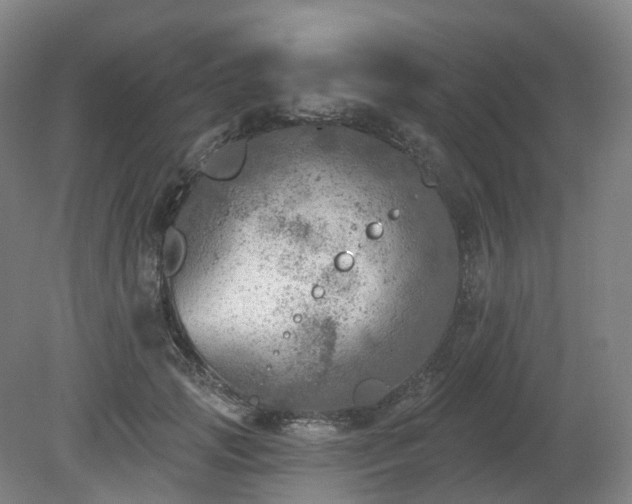 X0000081280749200701181742