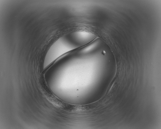 X0000081280750200701181742