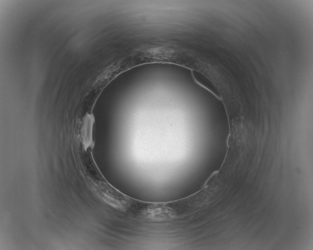 X0000081280752200701181742