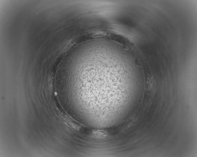 X0000081280753200701181742