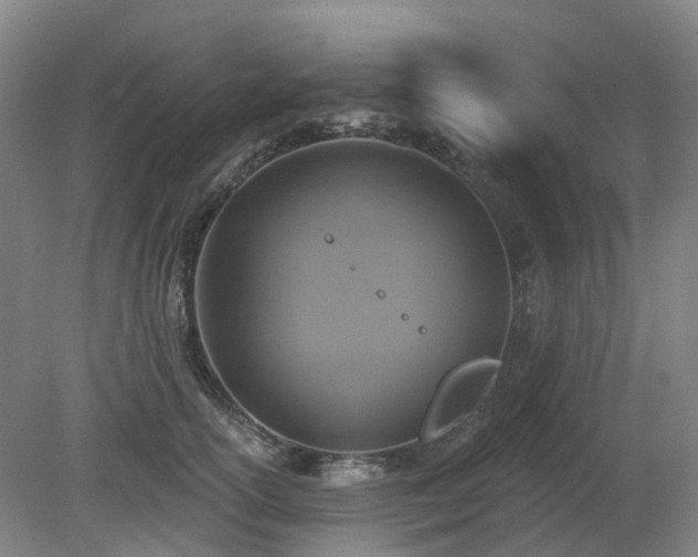 X0000081280754200701181743