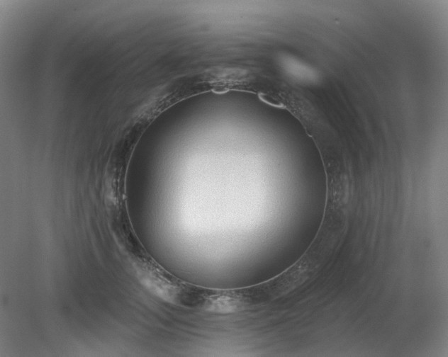 X0000081280755200701181743