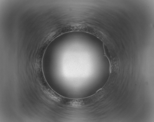 X0000081280756200701181743