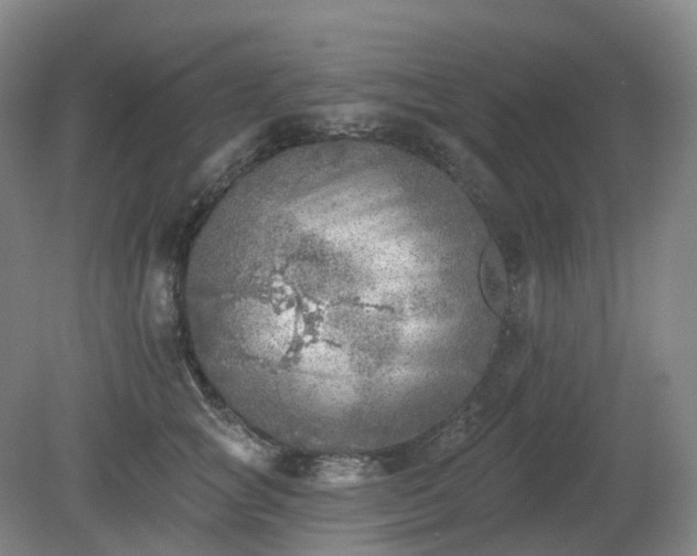 X0000081280757200701181743