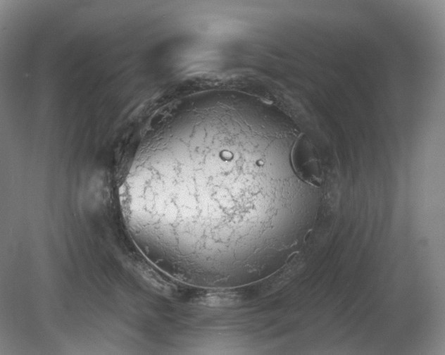 X0000081280758200701181743