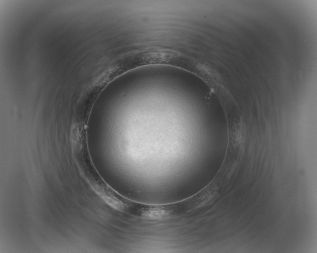 X0000081280759200701181743