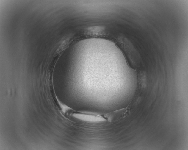 X0000081280760200701181743