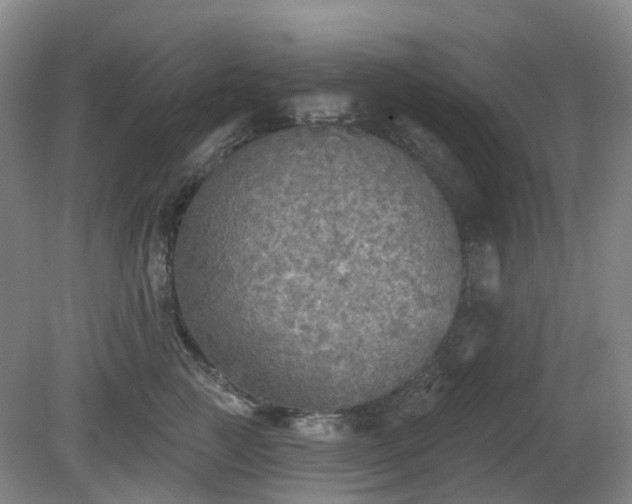 X0000081280761200701181743