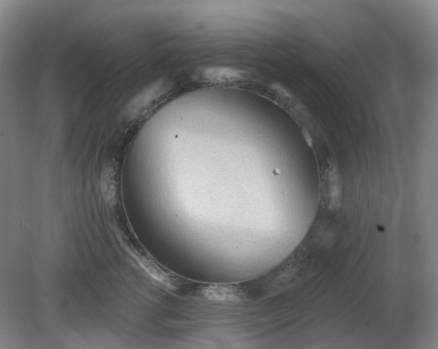 X0000081280762200701181743