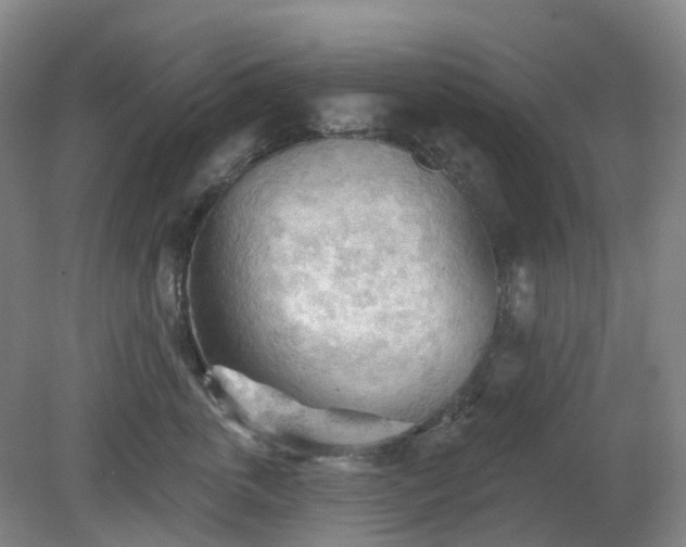 X0000081280763200701181743