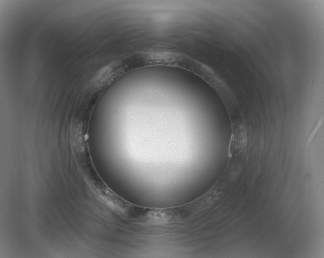 X0000081280764200701181743