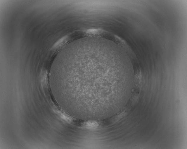 X0000081280765200701181743