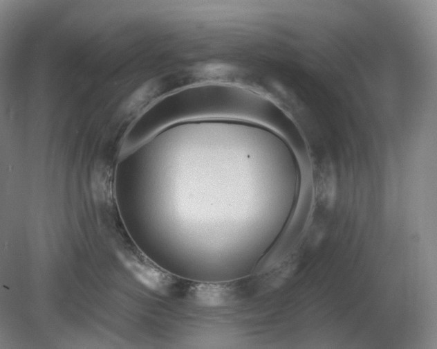 X0000081280766200701181743