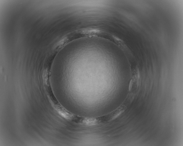 X0000081280767200701181743