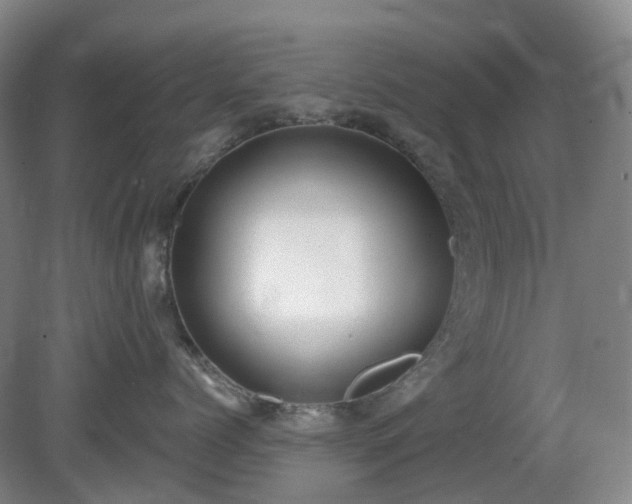 X0000081280768200701181743