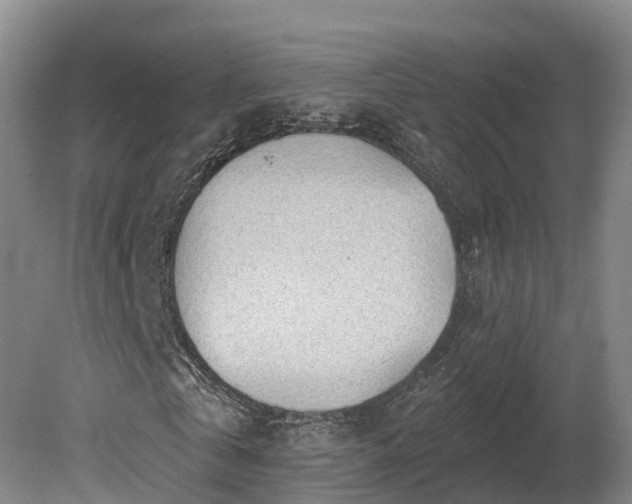 X0000081280769200701181742