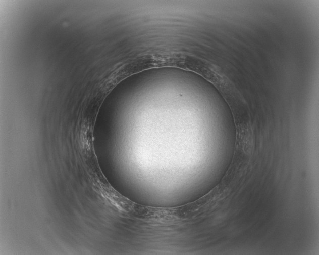 X0000081280770200701181742