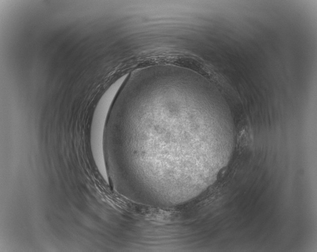 X0000081280772200701181742