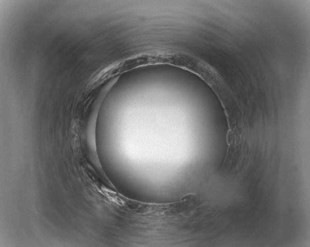 X0000081280773200701181742