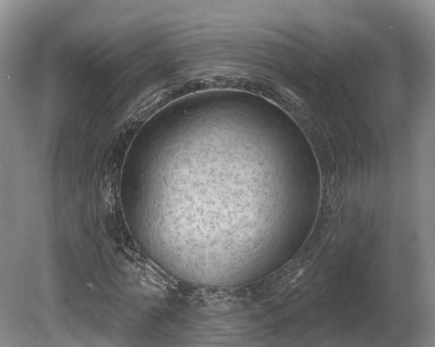 X0000081280774200701181742