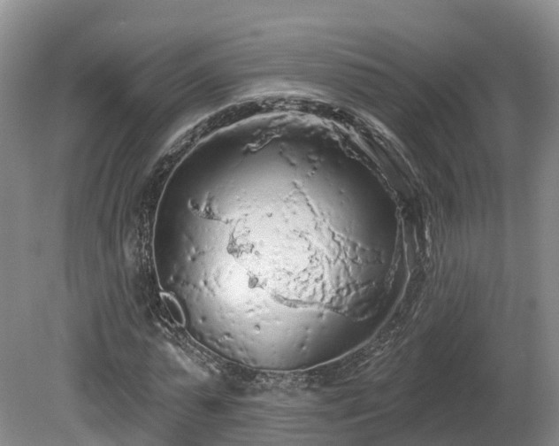 X0000081280775200701181742