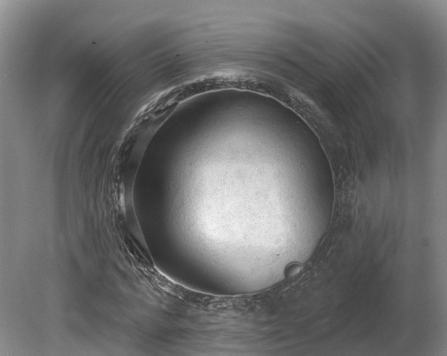 X0000081280776200701181742