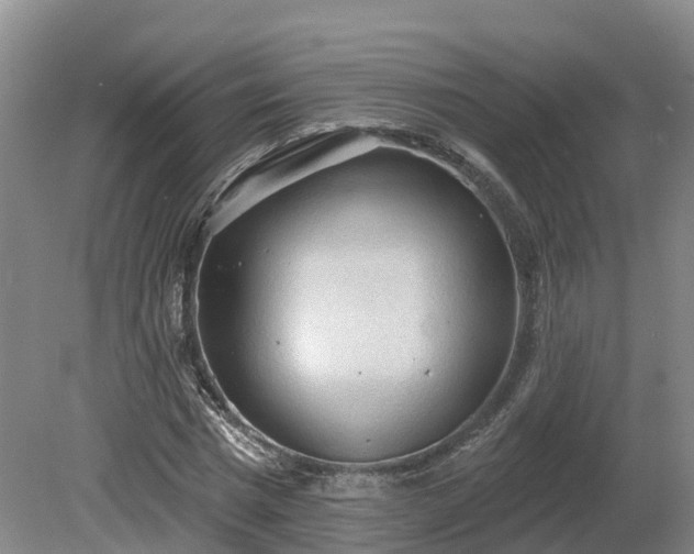 X0000081280777200701181742