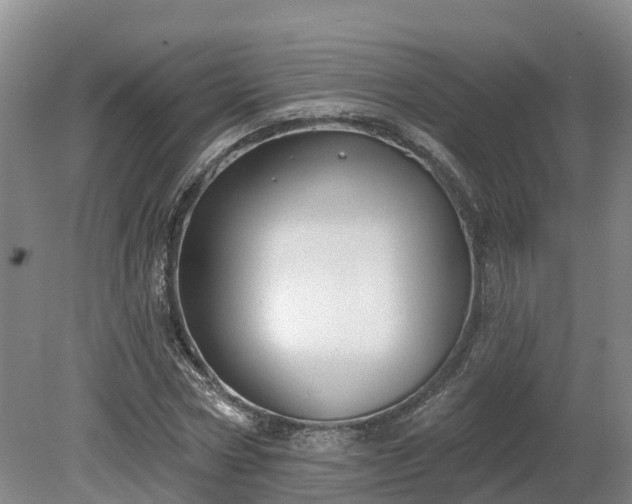 X0000081280778200701181742