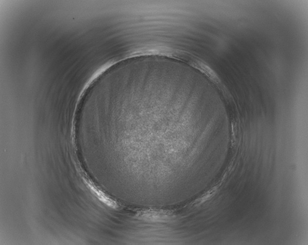 X0000081280780200701181742