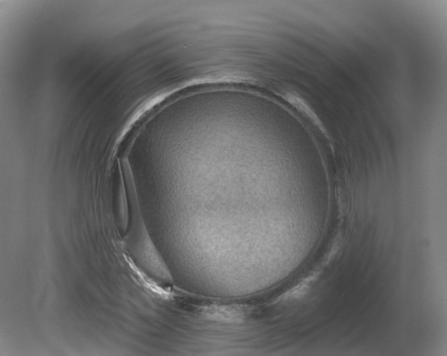 X0000081280781200701181742