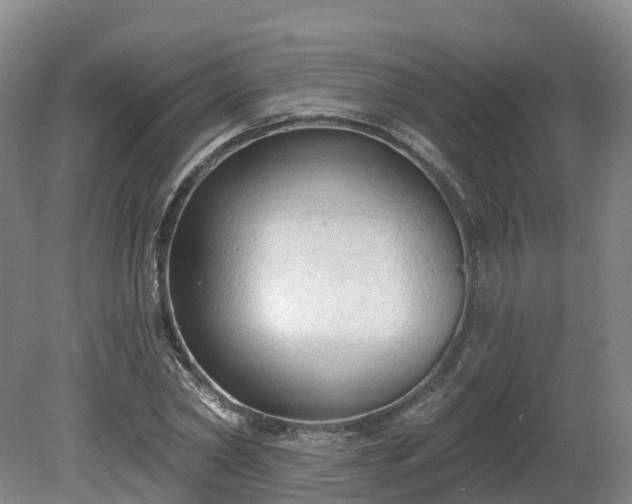 X0000081280782200701181742