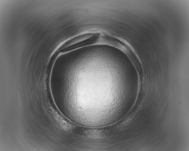 X0000081280783200701181742