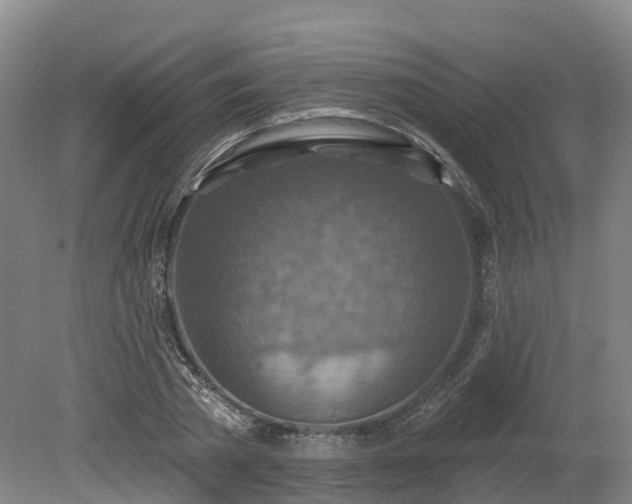 X0000081280785200701181742