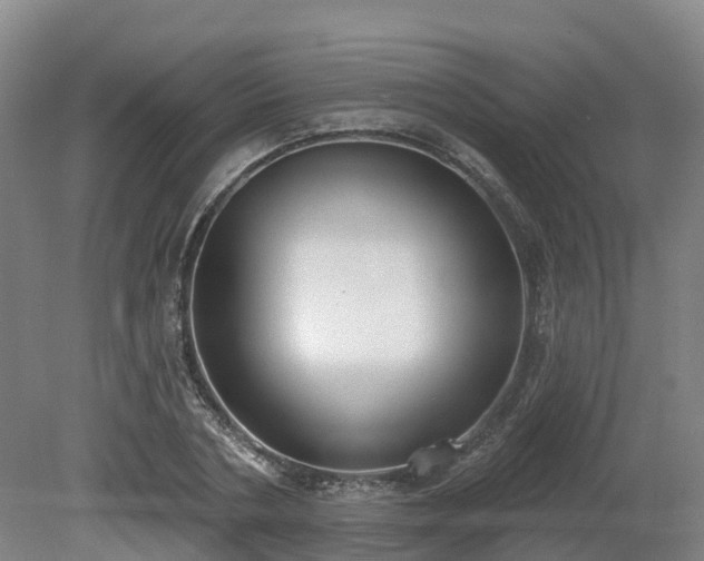 X0000081280786200701181742