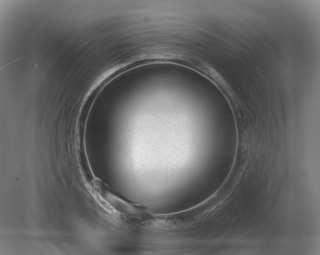 X0000081280787200701181742