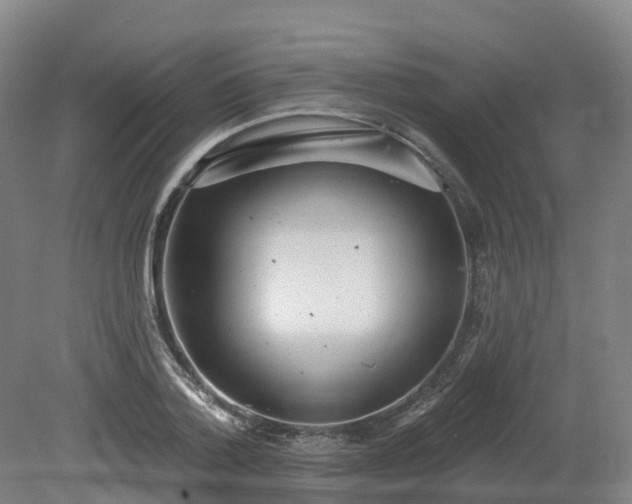 X0000081280788200701181742