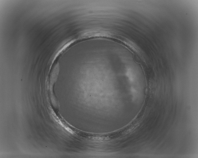 X0000081280790200701181742