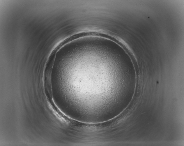 X0000081280791200701181742