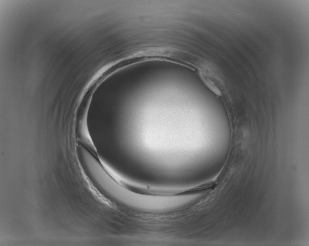 X0000081280792200701181742