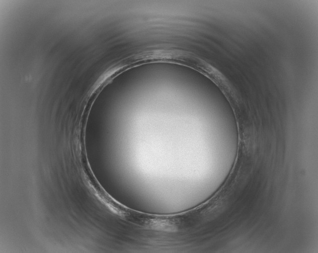 X0000081280794200701181742