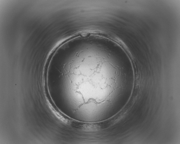 X0000081280795200701181741