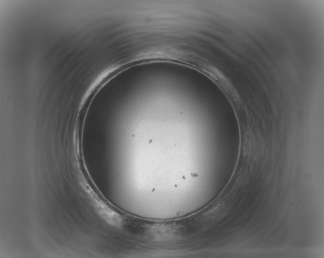 X0000081280796200701181741