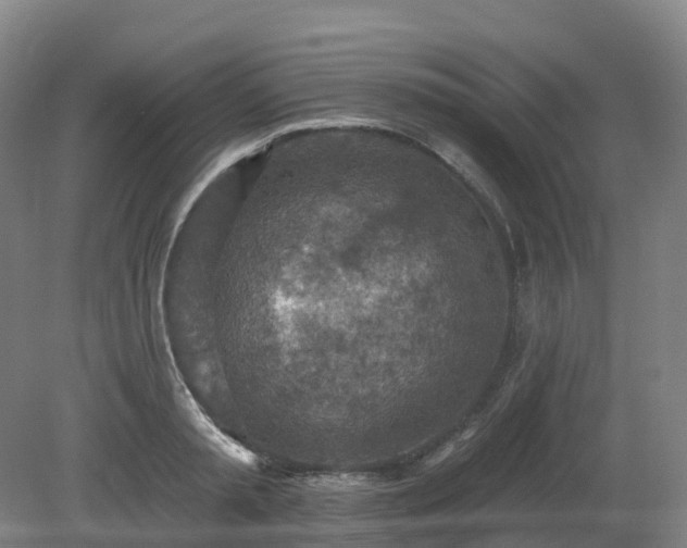 X0000081280797200701181741