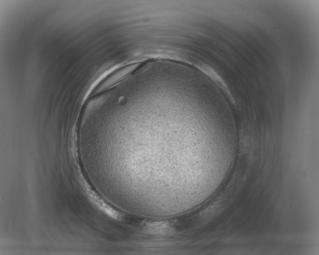 X0000081280798200701181741