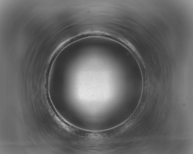 X0000081280799200701181741