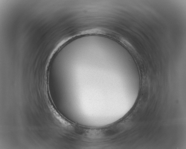 X0000081280800200701181741