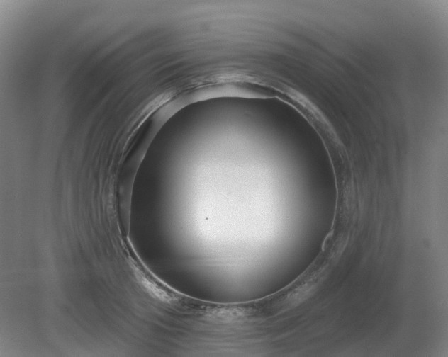 X0000081280801200701181741