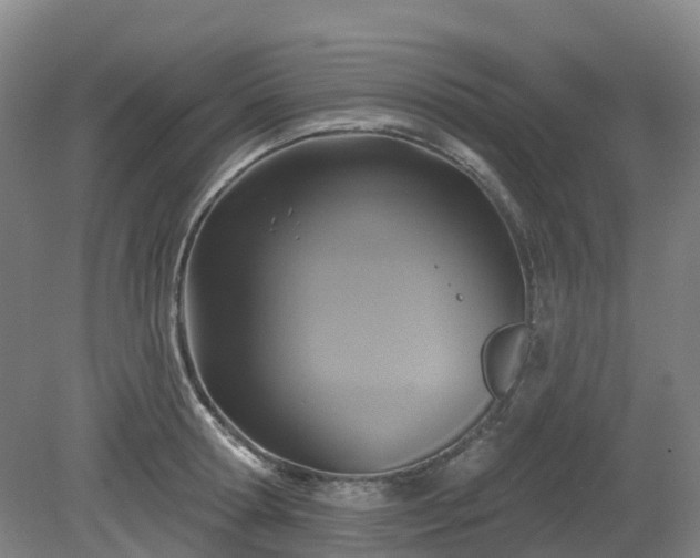 X0000081280802200701181741